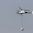 D-HAHN - Hubschrauber mit Streugerät zur Bekämpfung von Schnaken -3-