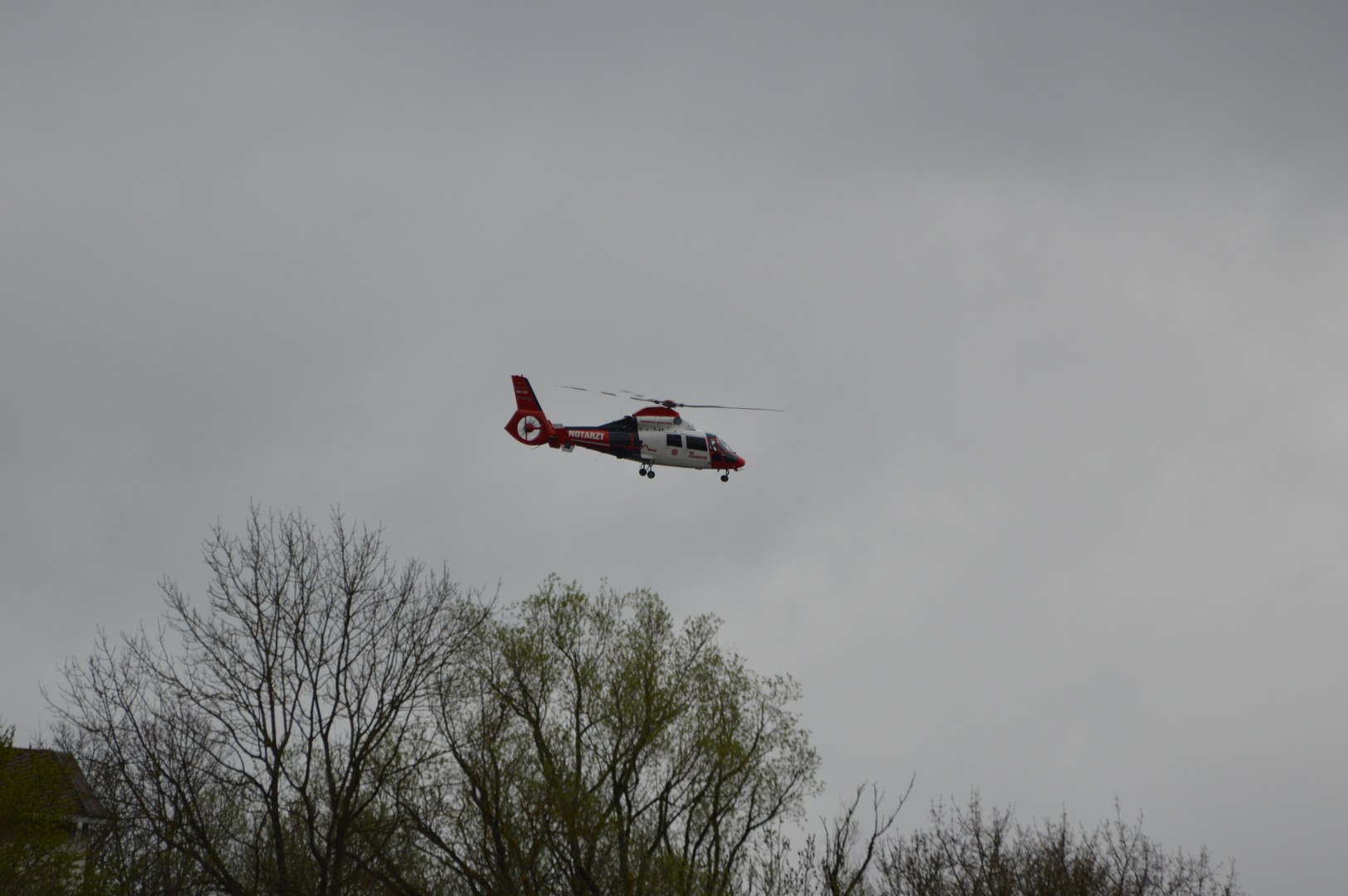 D-HFSG im anflug