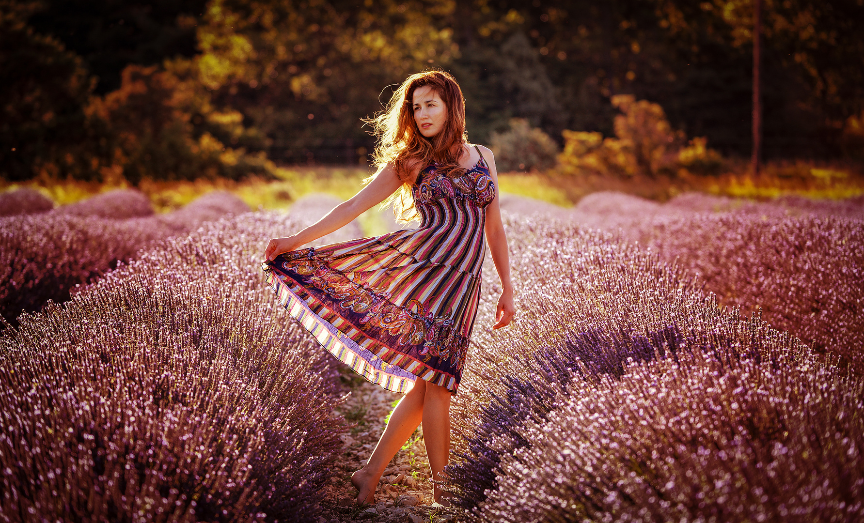 . d í a s . d e . l u z .