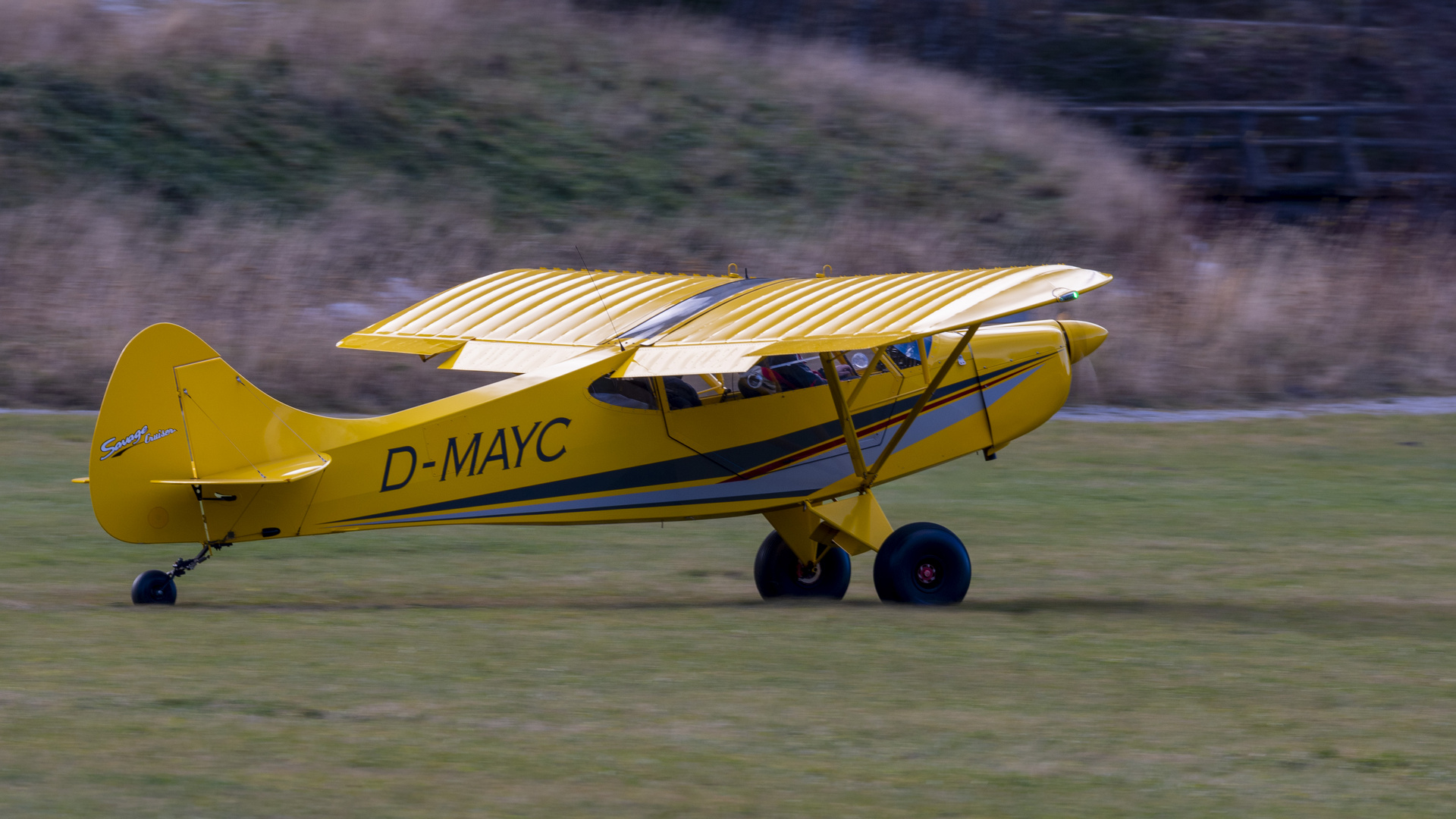 D-MAYC