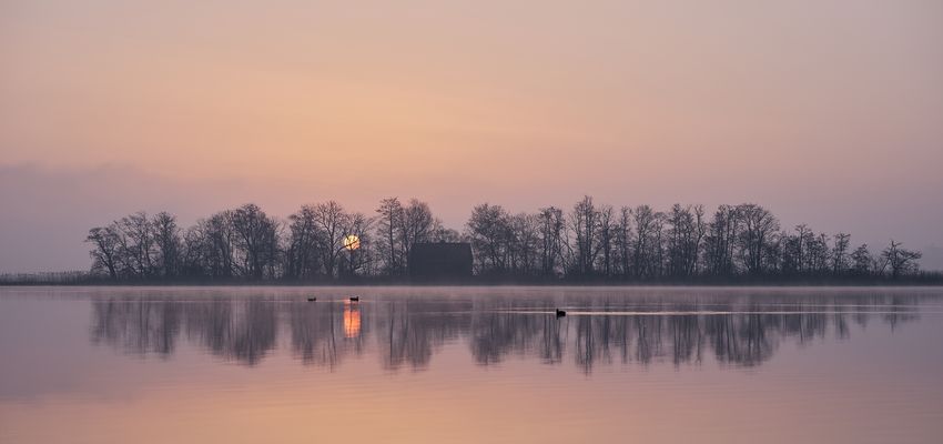 d r e i . n a c h . 6