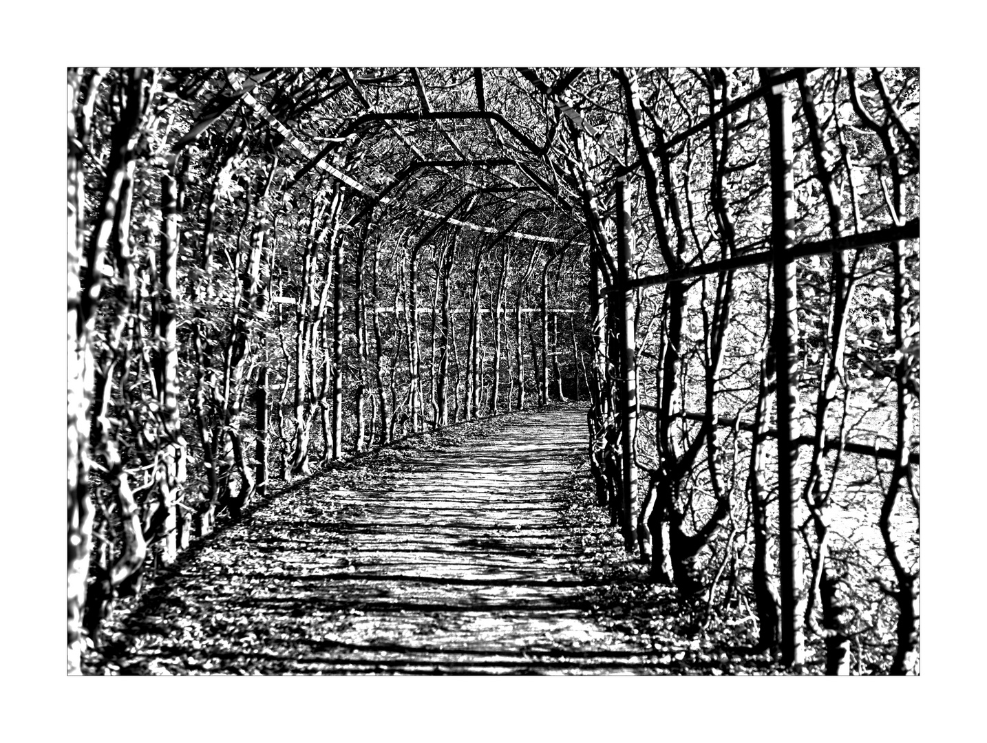 D R U C K V O R L A G E Foto Bild Architektur Abstraktes Fotokunst Bilder Auf Fotocommunity