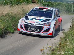 D. Sordo WP18