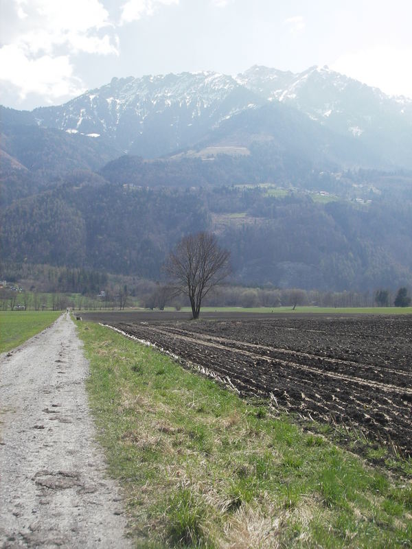 D Stross duarch s Riat gi Nendla (Die Strasse durch das Riet nach Nendeln, FL)