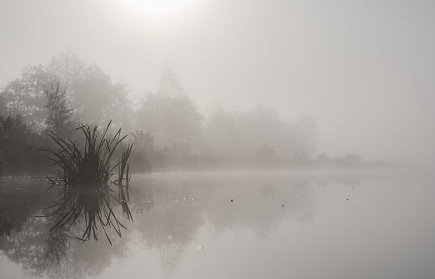 D u r c h l e u c h t e t