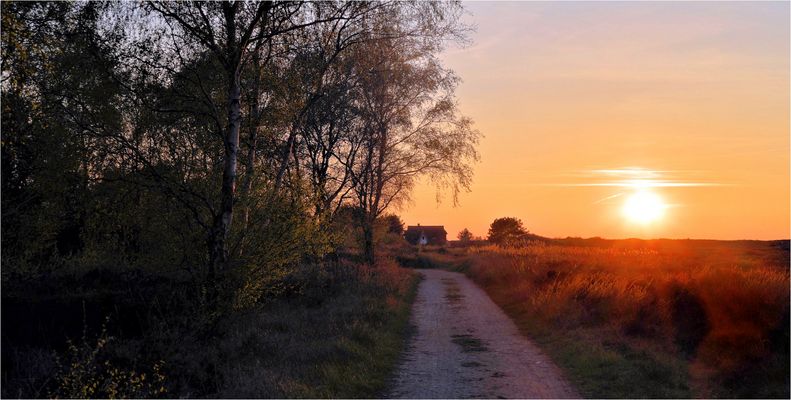 D Ü N E N H E I D E