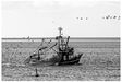 Die Nordsee