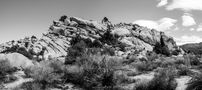 Joshua Tree National Park by Minou Nowrousian