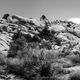 Joshua Tree National Park