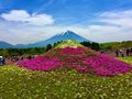 Mont Fuji von Fröhlich Anni-Lina