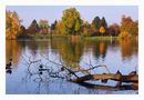 Herbst am See... by Wolfgang (Wolf) 