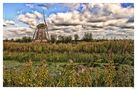 -Kinderdijk- by Wolfgang Sh.