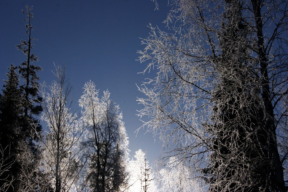 minus 20 Grad von elke margit 