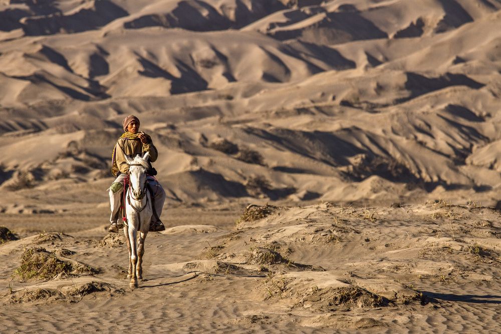 Easy Rider von Stephan Mink 