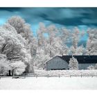 D200 IR Landscape at Viersen Vorst.