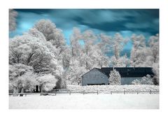 D200 IR Landscape at Viersen Vorst.