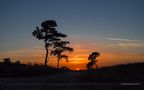 Sonnenuntergang in het Bergerbos - Afferden von moni-h