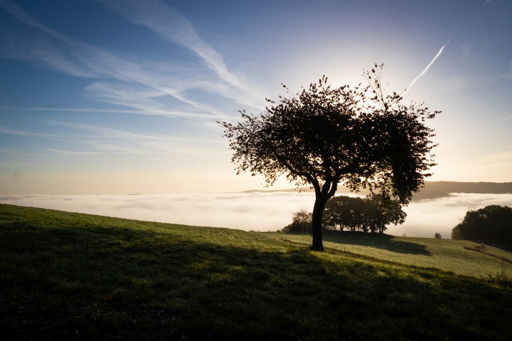 Landschaft am frühen Morgen von Eduard T.