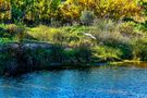 Delta del Foix de Pedro Szendro