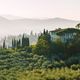 Toscana am frhen Morgen