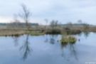 Fockbeker Moor im Pastelllook by Karl Goldhamer