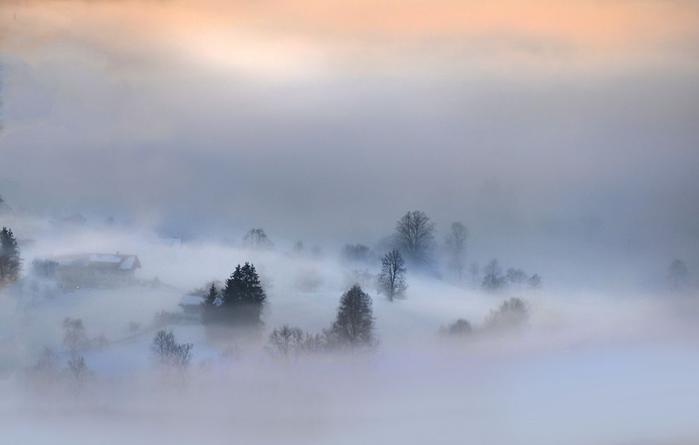 im Nebel von Rebekka D.