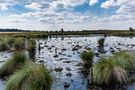 Hohes Venn von EHL Foto