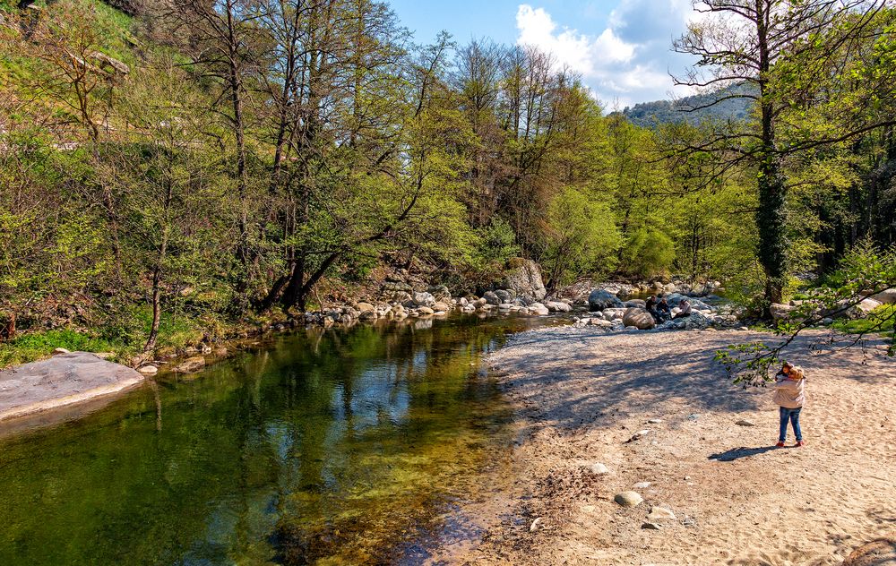 Au bord de l'eau . de Joëlle Millet