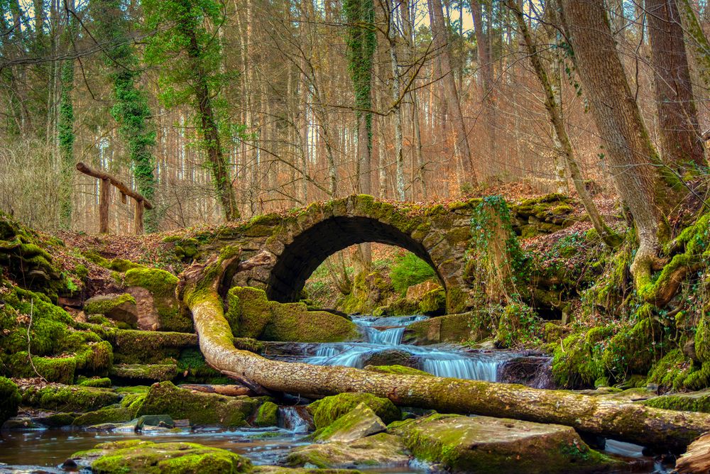 The Stone Bridge von Dan Boia