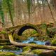 The Stone Bridge