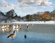 Balade sur la glace. de Francis Vanderveken 