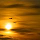 Sonnenuntergang auf Sylt