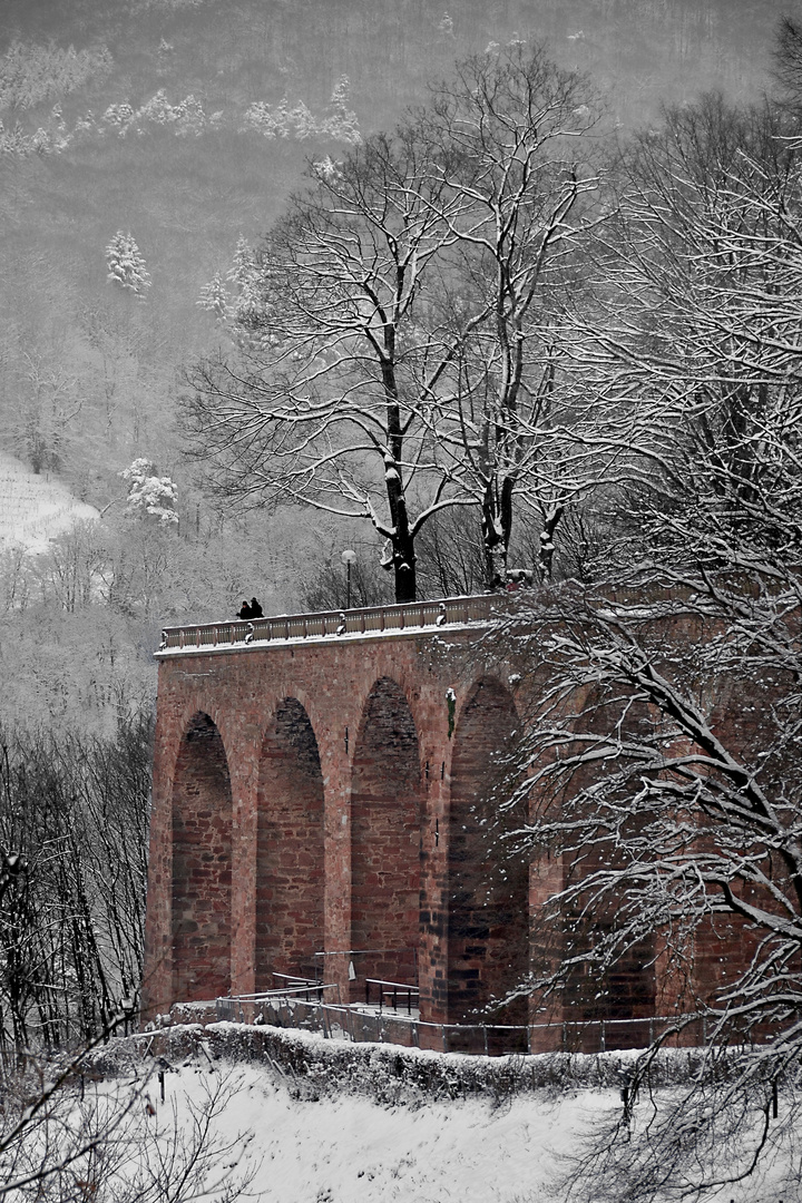 D7000 goes Heidelberg, Teil 3