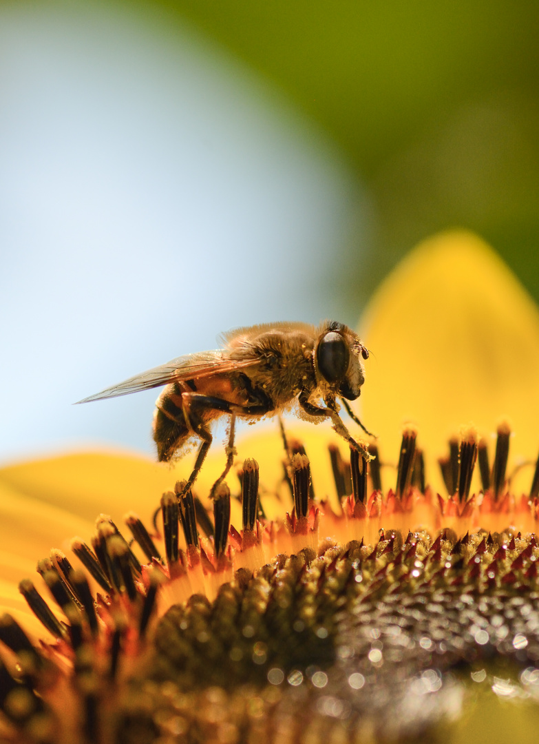 D71_4153-Bearbeitet