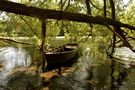 Promenade sur l'eau.. de DUPAS M 