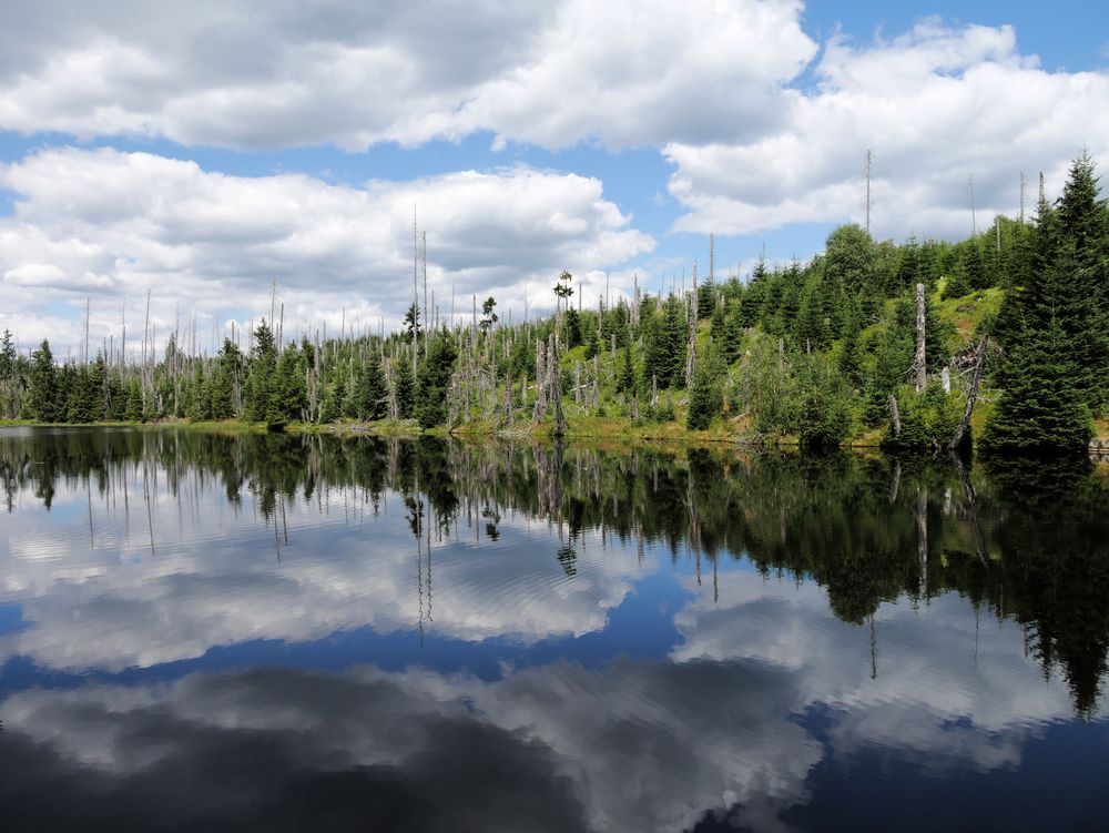 Reschenbachklause im Naturpark Bayerischer Wald von Killersreiter Helmut