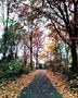 Cycling in the Netherlands  by josesateixeira