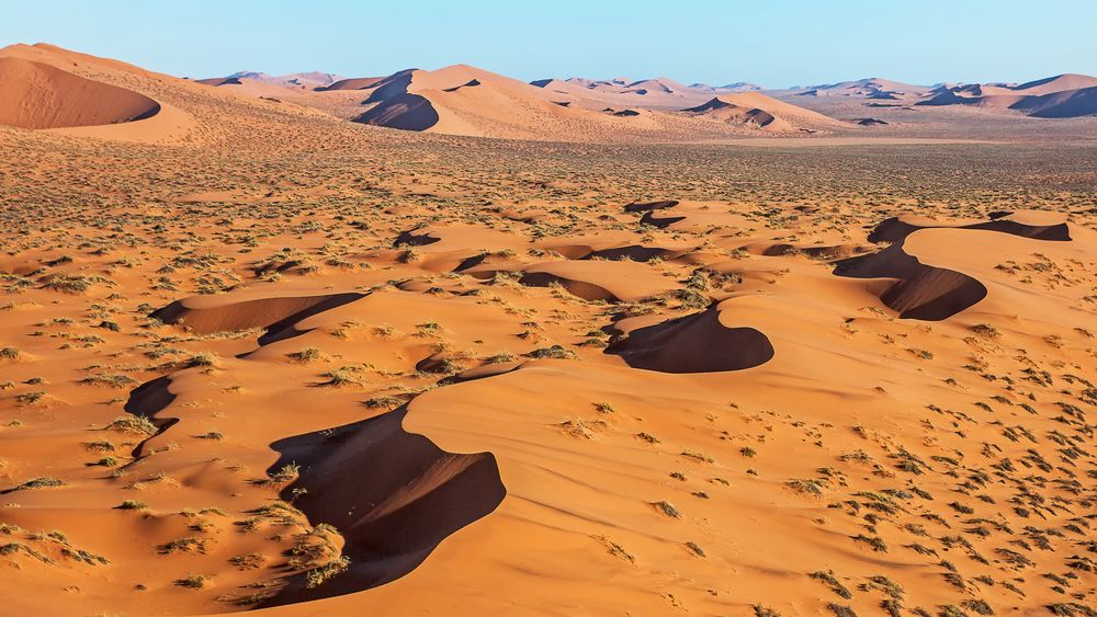 Namib Desert von Michèle lu