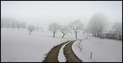 Winterstimmung ... von Gerhard Wanzenböck