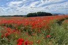 Mecklenburg-Vorpommern.. von Conny Wermke