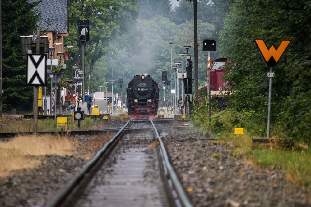 Harzer Schmalspurbahn von Nordphotos.com