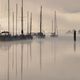 Brume rose du matin sur le port de Foleux