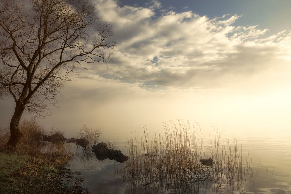 very first morning light von Irca Caplikas