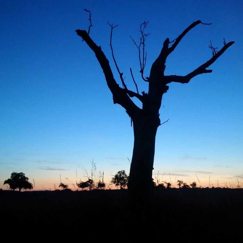 Abendspaziergang von Matthias Karger 