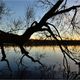 Am Badesee in Traun