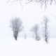 Winterlandschaft