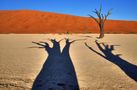 Namib von Greg G.