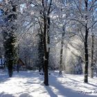 DA BIN I DAHOAM - unser wunderschöner Kurpark