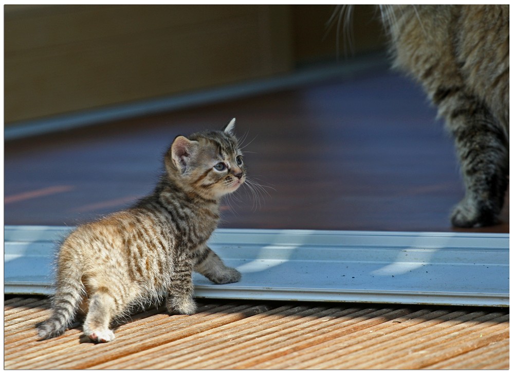 Da bin ich, Mama ...!!!