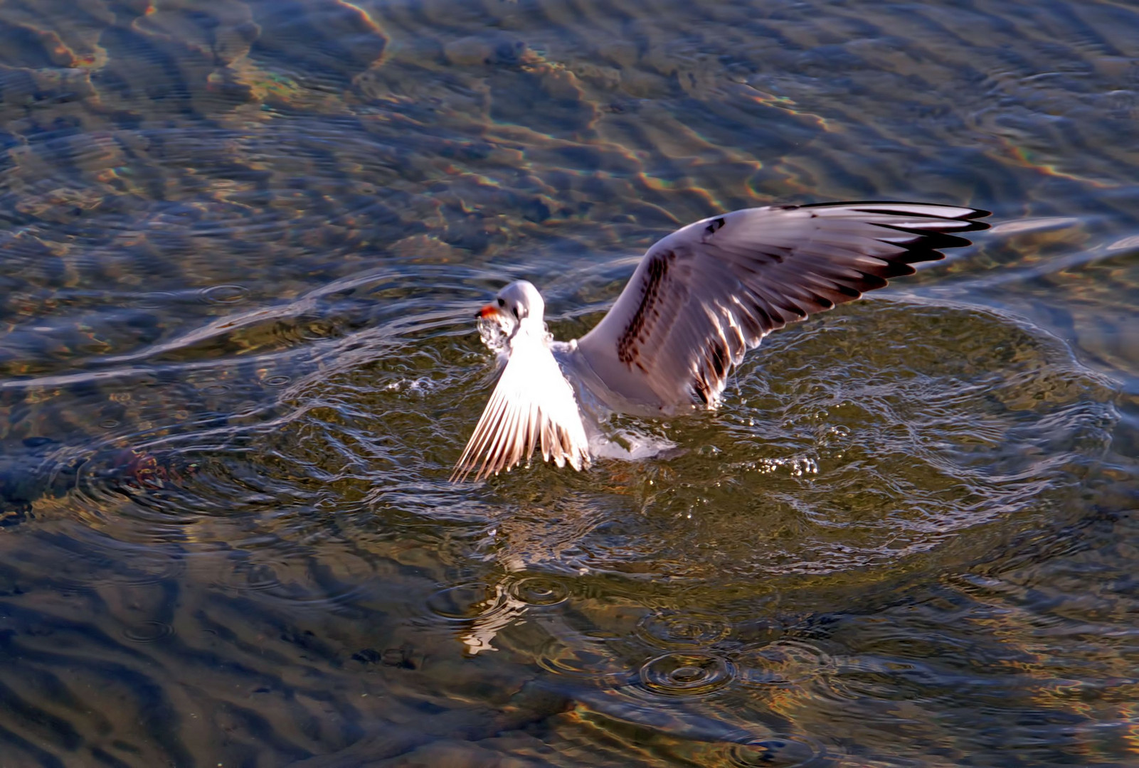 da bin ich wieder